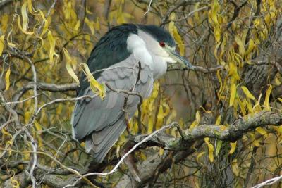 DSC_3123.jpg