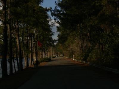 u8/susanne_medic/medium/37349582.Allee.jpg