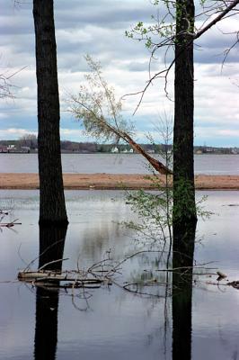 Water and trees