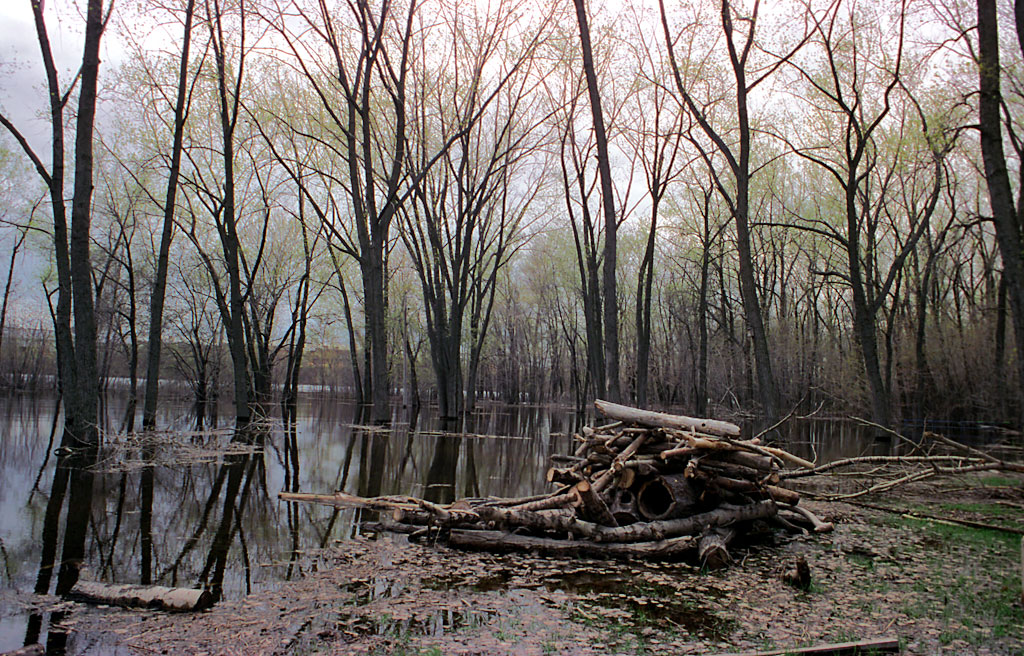 Spring inondation