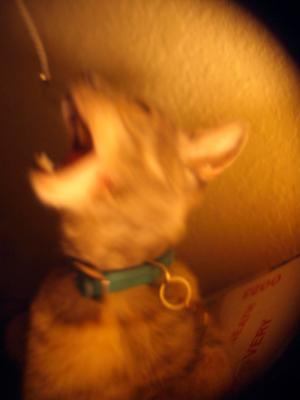 August 7 2004