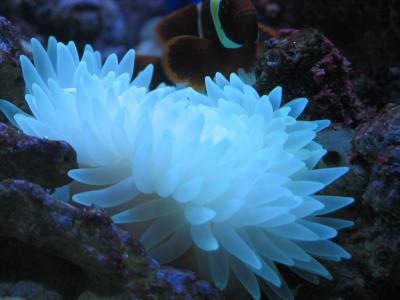 u8/tastyorange/medium/37423724.IMG_3077.jpg