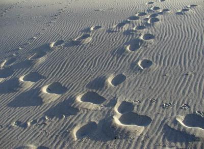 footprints