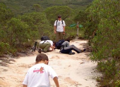 Obstruo da trilha para fotografar formigas