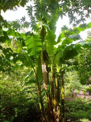 u8/theukoasis/medium/32794760.Musabasjoo.jpg