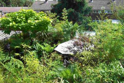 u8/theukoasis/medium/32824157.Garden21804ag.jpg