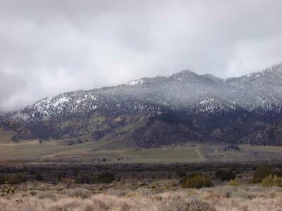 Farms in Kelso Valley