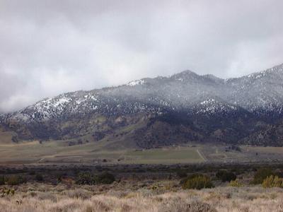 Farms in Kelso Valley