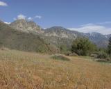 Meadow and Kern River Valley