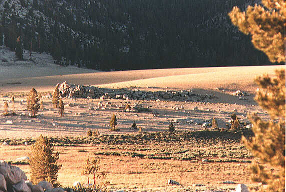 Sand Dune in Mulkey Meadow