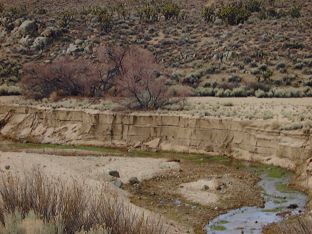 Stream Bank Strata, Kelso Valley