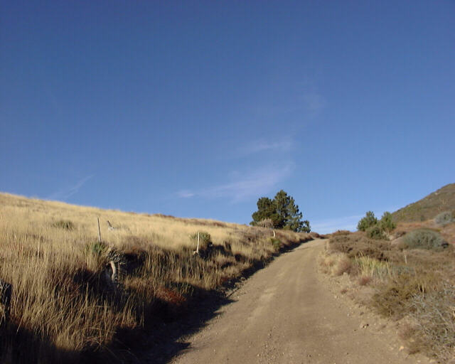 Easy Road