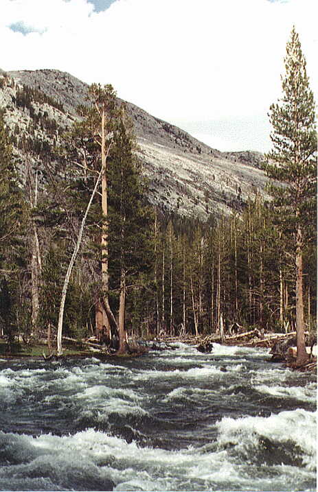 Piute Creek