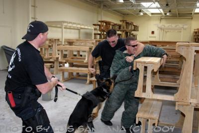 u8/thpproductions/medium/37324489.K9Cert04156copy.jpg