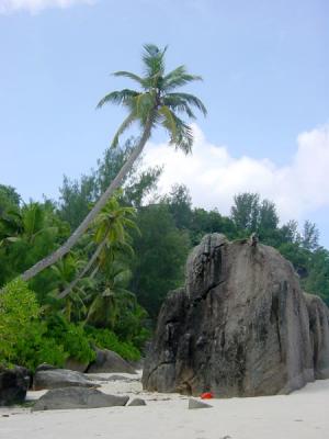 Intandance Beach Scene 1.jpg
