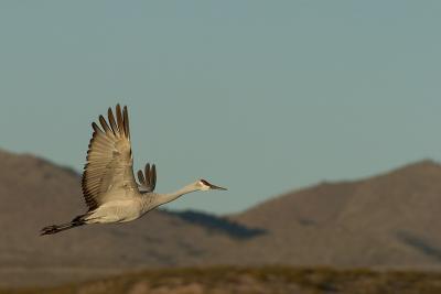 Flyby 2