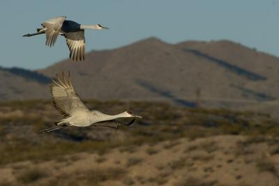 flyby 3