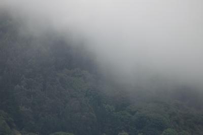 fog and land