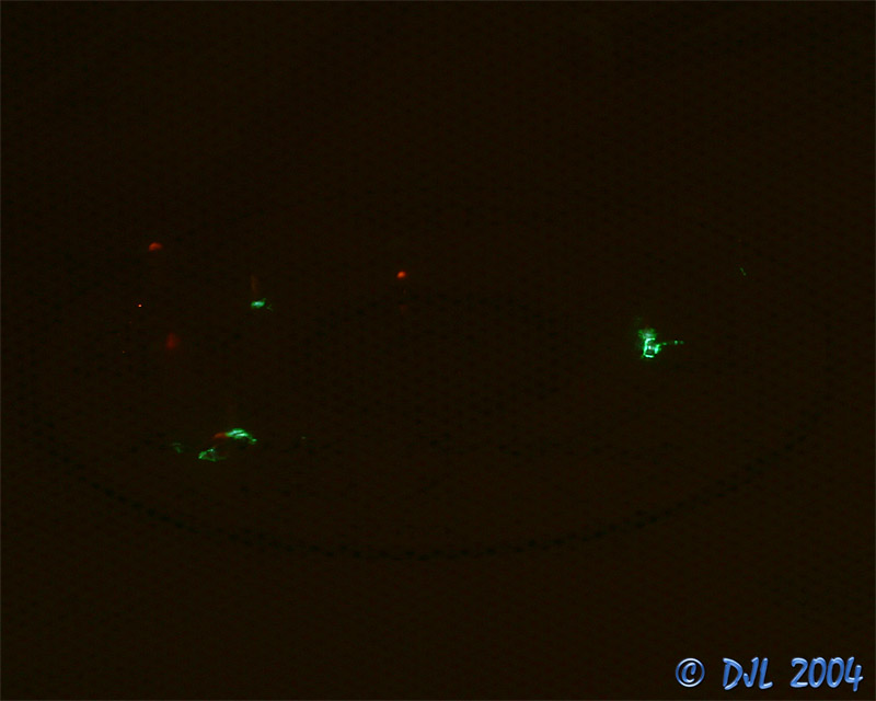 CD-R in a microwave