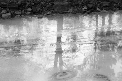 _MG_8600-BW-JPG.jpg