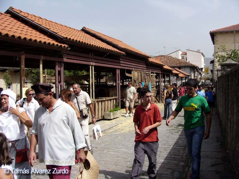 Feria Medieval