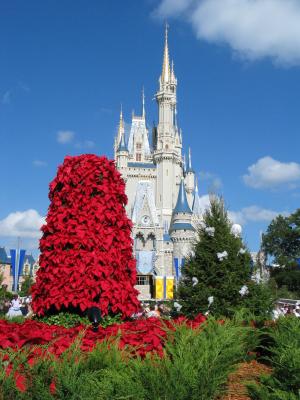 Walt Disney World December 2003