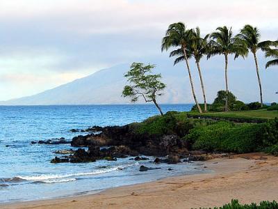 Polo Beach Maui 1