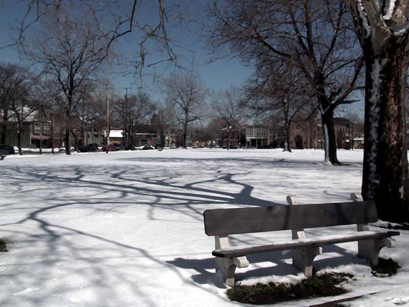 lincoln park bench