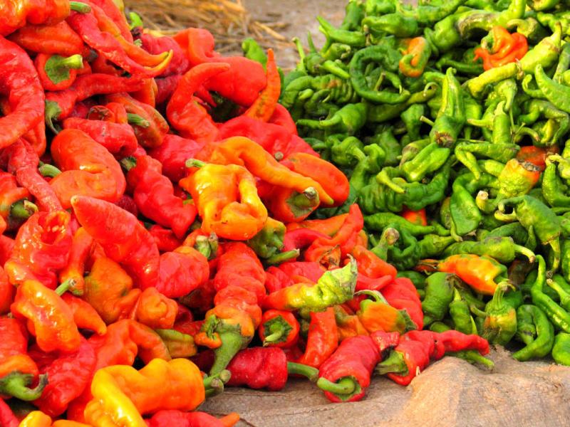 Mountains of peppers