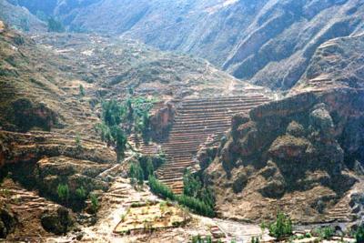 Inca ruin near Cusco