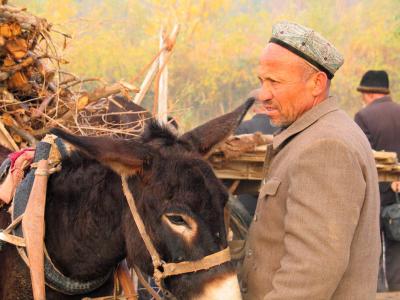 u8/trevvelbug/medium/37395164.Amanandhisdonkey.jpg