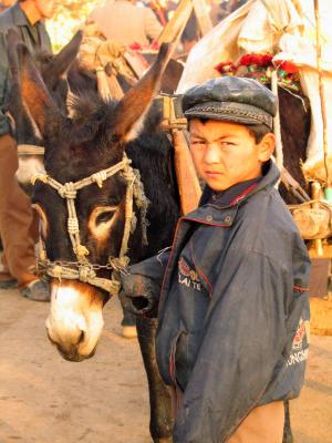 Boy and donkey