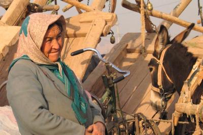 Woman and donkey