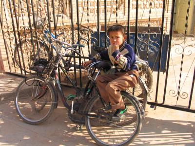 u8/trevvelbug/medium/37396523.Bicycleboy.jpg