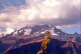 Andes