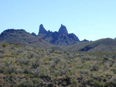 Mule Ears