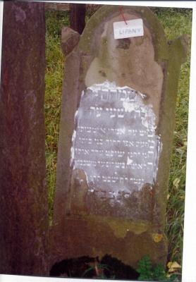 (The name Simcha appears in the form of an acrostic poem on the right side of this gravestone.]

Simcha
The son of the (honoric) Yeshaya
Was joyous with the words of G-d and his commandments
With the sweat of his brow he supported his family
(unable to explain)
may he lie peacefully on his resting place
Died Rosh Chodesh Shevat [year-illegible]
