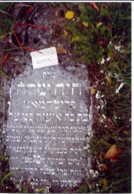 Mrs. Chaya Sara FRIEDMAN
Daughter of [illegible] Eliezer [illegible - very difficult to read the rest]
[This is an acrostic poem with the name 'Chaya Sara' going down the right side of the gravestone] 