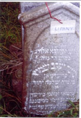 Moshe Yakov Shmuel FRIEDMAN
son of the R'Shlomo
(rest is too difficult to read)