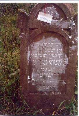 Shmuel Zanvil
son of Tzvi 
KRIEGER
died Av 13(August)