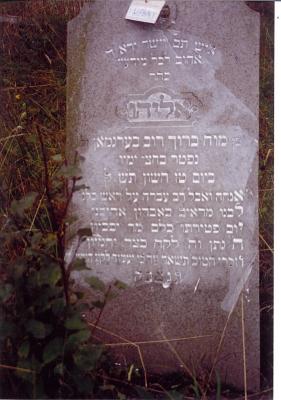 
died 15 Cheshvan ___________
October 27 __________
(Eliyahu acrostic down right side of gravestone)