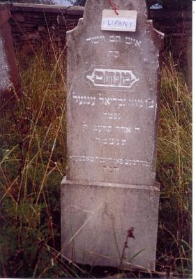 Menachem son of Gabriel ENGEL
Died 5 Adar 5672
23 February 1912