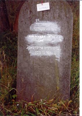 Yosef Shmarya
son of R' Pinchas FRIEDMAN
16 Tevet 5671
16 January 1911