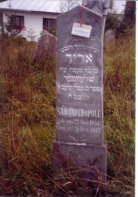 Arid?* son of Moshe SCHLESINGER

######
SarosiLeopold
Born: Nov 22, 1856
Died: Dec __, 1912

*possibly a form of the name Baruch