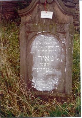 Ish tam ve yashar (Tasteful/proper and honest man)

3rd line: ve Assa Tov ... Elohim (did well ... God/Elohim - would guess: Did Well in the Sight of G-d/Elohim)

Meyer son of Tzvi BERGER

Died: Kislev, Tav Resh Nun Tet (400+200=659) = 5659 / November/December,1898 