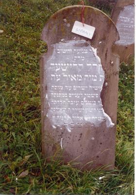 Mirel KRISCHER daughter of Meyer
(not on gravestone - a wife of Efraim Fischel KRISCHER - Died:5648/1888)