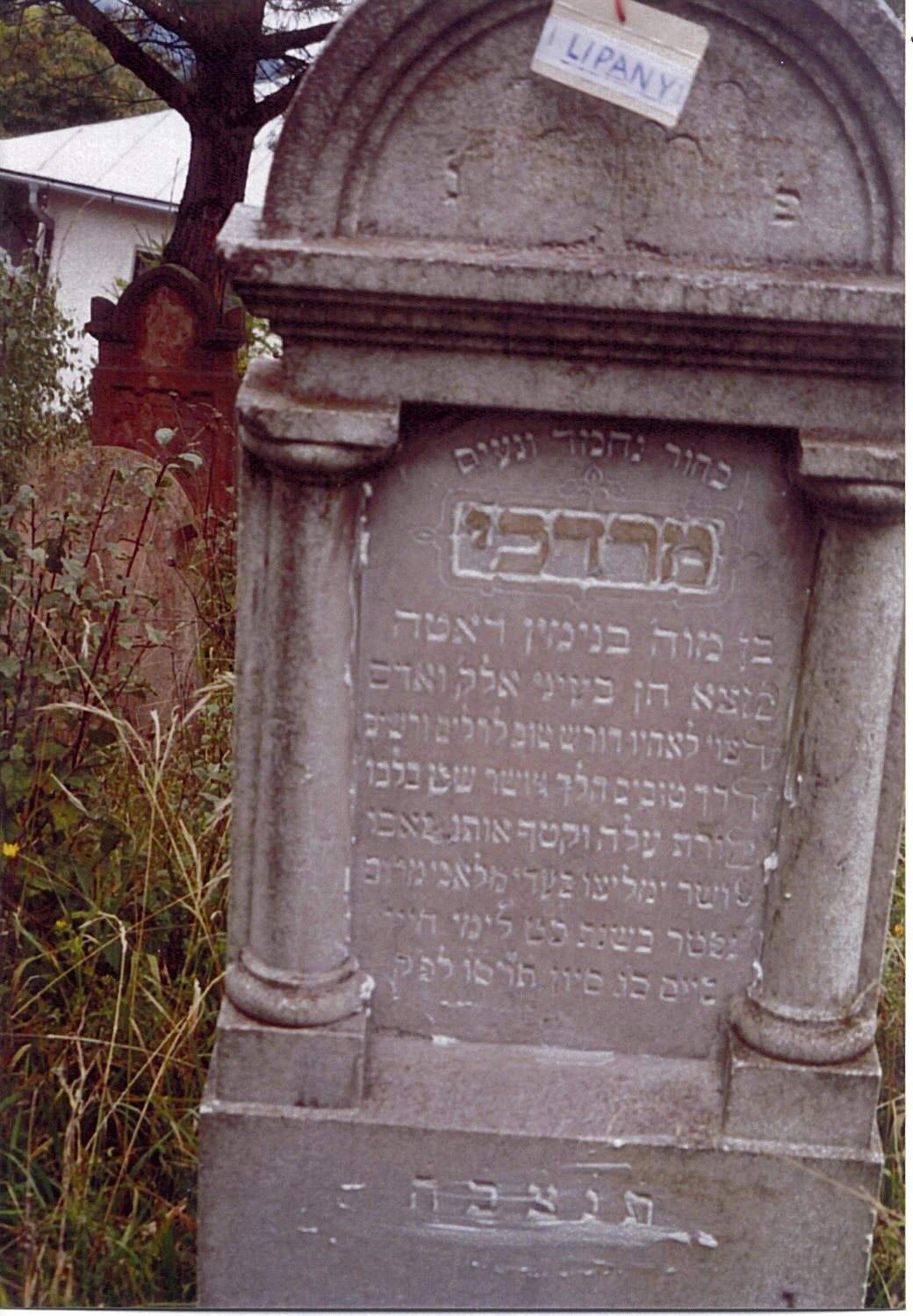 Mordechai son of Benjamin ROTH