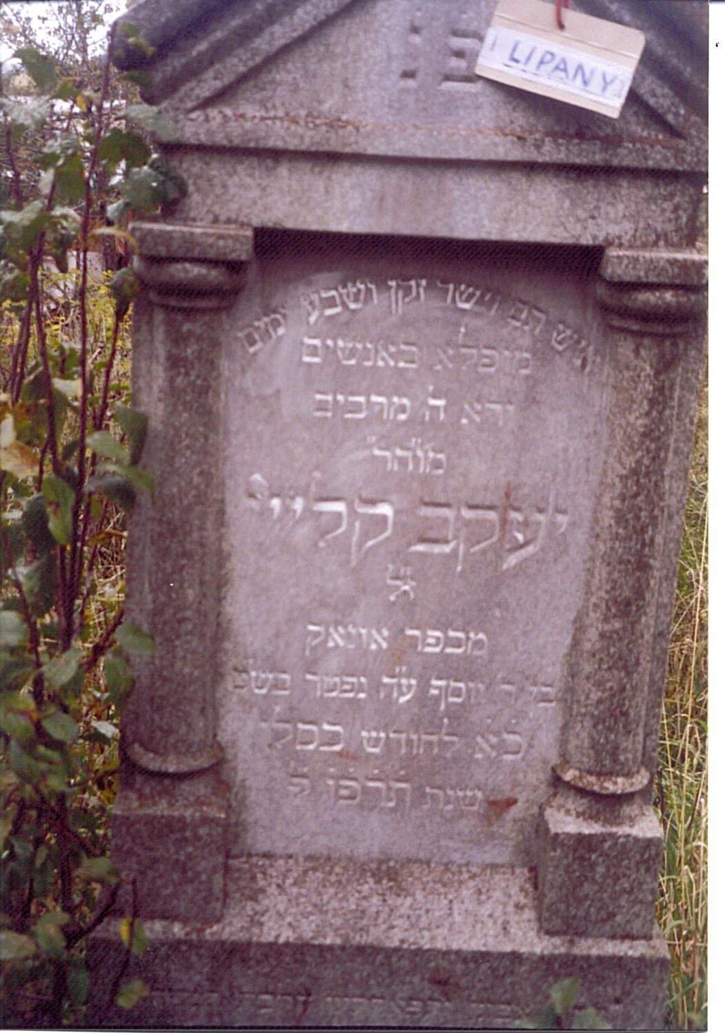 Yakov KLEE son of Josef