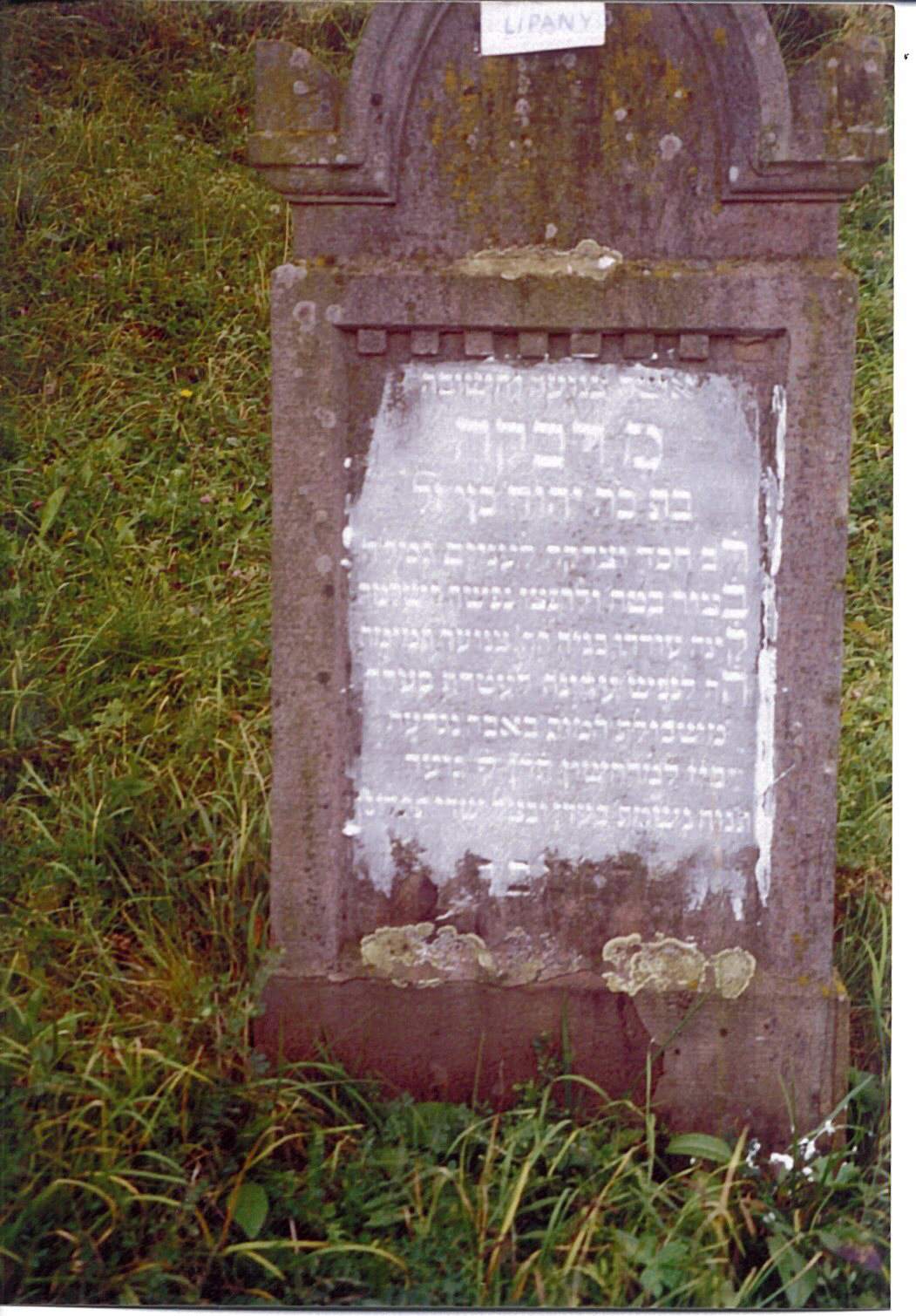Rifka daughter of Yehuda KATZ