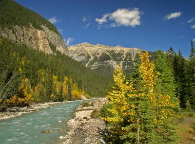 Fall on the Yoho River